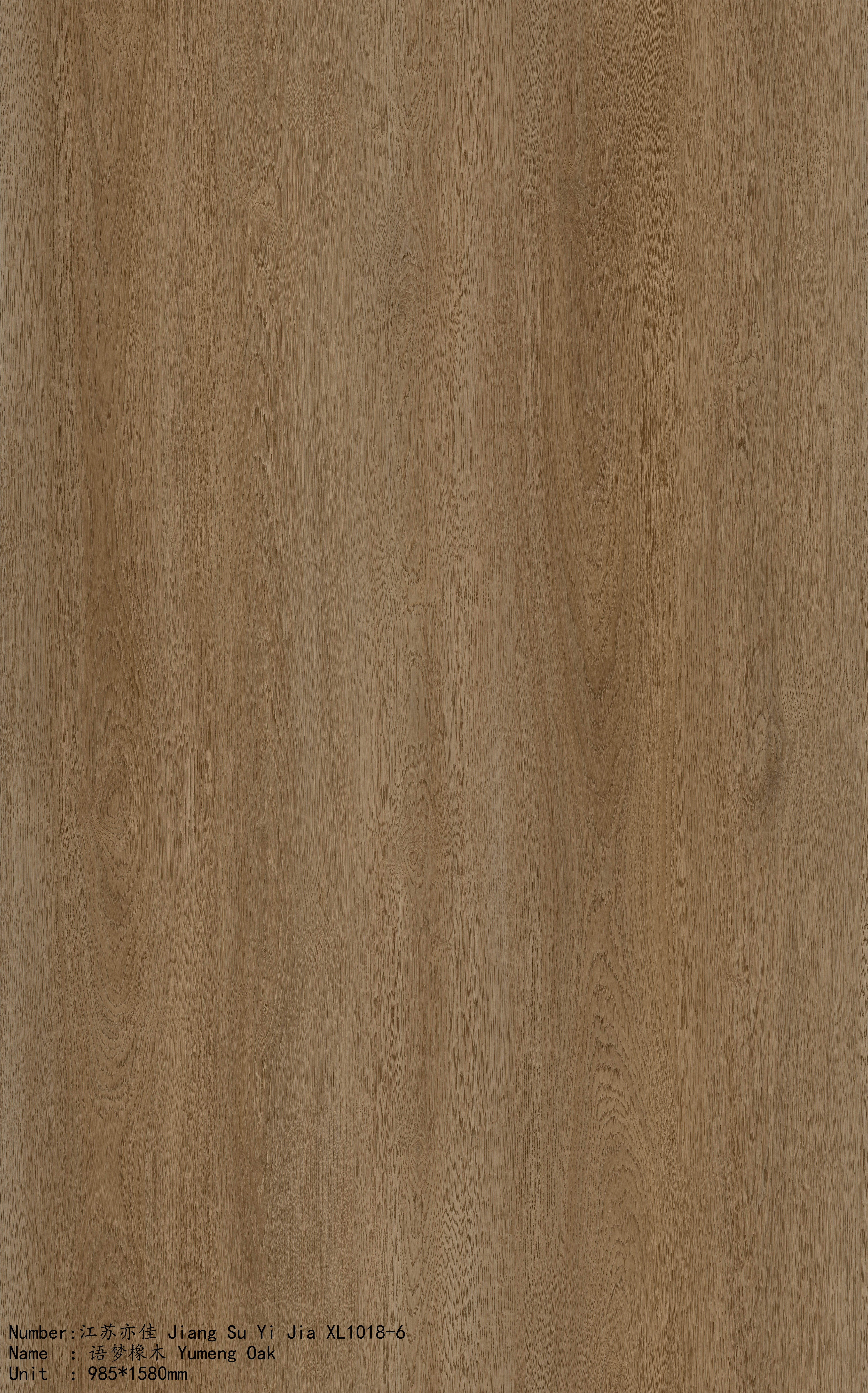 XL1018-6